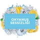 Mr Muscle Glade Yüzey Temizleyici 2500 ml Okyanus Sessizliği