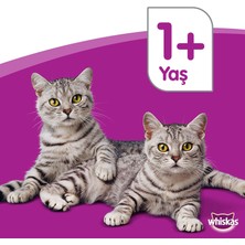 Whiskas Biftekli ve Havuçlu Yetişkin Kedi Mamasi 1,4 kg