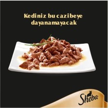 Sheba Pouch Yaş Kedi Maması Tavuklu 85 gr 24'lü