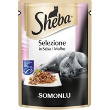 Sheba Somonlu Pouch Konserve Kedi Maması 85 gr x 12