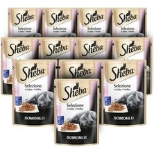 Sheba Somonlu Pouch Konserve Kedi Maması 85 gr x 12