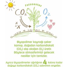 Sleepy Bio Natural Islak Havlu 12 x 40 Yaprak 480 Yaprak