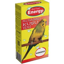 Energy Kabuksuz Muhabbet Kuş Yemi 400 gr-4 Kutu
