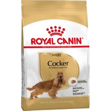 Royal Canin Cocker Köpek Maması 3 kg