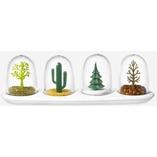 Loggia Seasoning Shakers Dört Mevsim Baharatlık