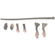 Savage Gear Lb 3D Rad Maintenance Kit 20 cm Grey Suni Yem