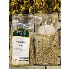 Lokman Aktar Yavşan 40 gr