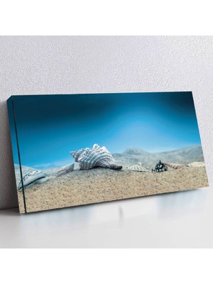 ZEVAHİR MOBİLYA DEKORASYON Zevahir 120X60 Kanvas Su Altı Deniz Kabuğu Tablosu