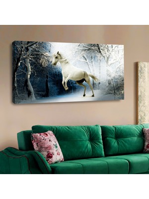 ZEVAHİR MOBİLYA DEKORASYON Zevahir 120X60 Kanvas Beyaz At Tablosu