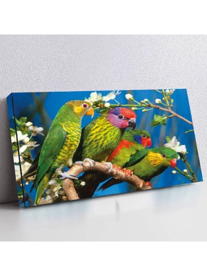 ZEVAHİR MOBİLYA DEKORASYON Zevahir 120X60 Kanvas Kuş Tablosu