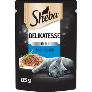 Delikatesse Ton Balıklı Jöleli Pouch Yetişkin Kedi Yaş Maması 24 x 85 gr