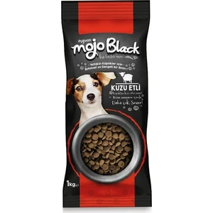 Mojo Black My Dog