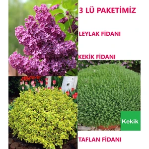 Ucuzluk Diyarı 1 Adet Leylak Fidanı + 1 Adet Kekik Fidanı + 1 Adet Taflan Fidanı