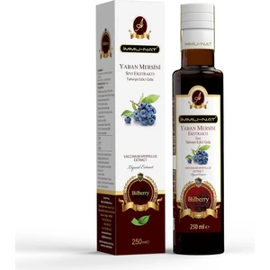 Yaban Mersini Sıvı Ekstraktı 250 ml