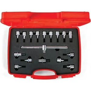 Izeltaş 1113006017 1/2" Lokmalı Allen Uç ve Star (Tork) Uç Takımı 17 Parça