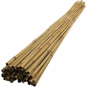 Fidan Destek Çubuğu Kamış 140-150CM 25 Adet
