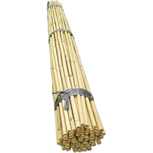 Fidan Destek Çubuğu Kamış 140-150CMBOY 10 Adet