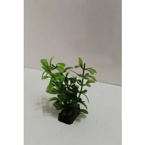 Canlı Petshop Bacopa Monnieri Plastik Bitki 10 cm