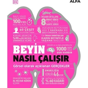 Beyin Nasıl Çalışır (Ciltli)