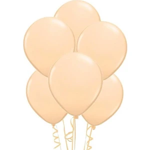 Pastel Ten Rengi Balon 10'lu