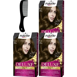 Palette Deluxe Saç Boyası 6-0 Koyu Kumral x 3 Adet + Saç Açıcı Tarak