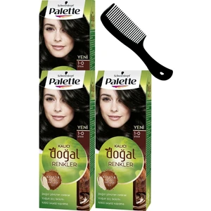 Palette Kalıcı Doğal Renkler Saç Boyası 1-0 Siyah x 3 Adet + Saç Açıcı Tarak