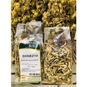 Lokman Aktar Ekinezya 40 gr