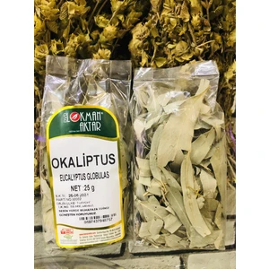 Lokman Aktar Okaliptus 25 gr