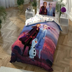 Disney Frozen 2 Autumn Nevresim Takımı