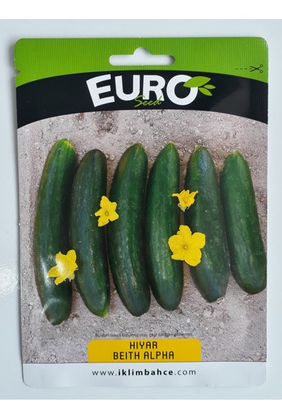 Euroseeds Salatalık Tohumu