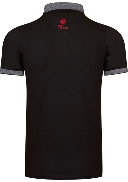 Raınsnow Erkek Polo Yaka T-Shirt modelleri