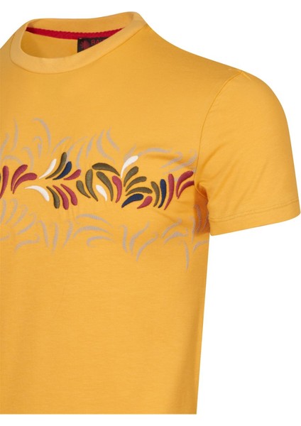Raınsnow Erkek Sıfır Yaka T-Shirt modelleri