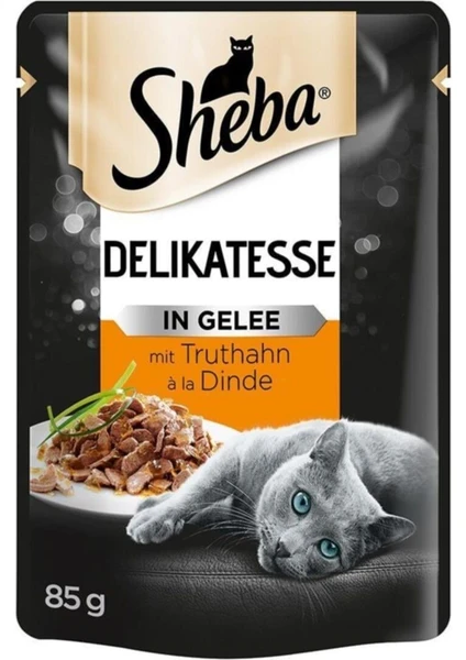 Pouch Hindili Yetişkin Kedi Konservesi 85 gr x 24