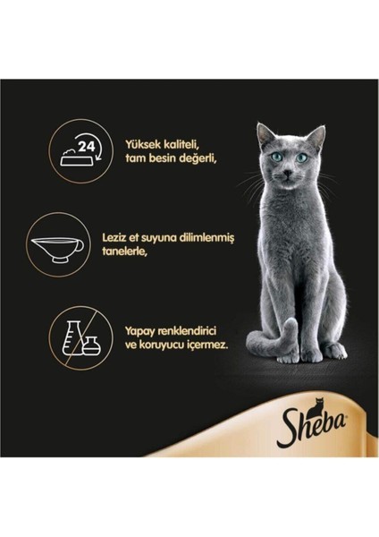 Pouch Hindili Yetişkin Kedi Konservesi 85 gr x 24