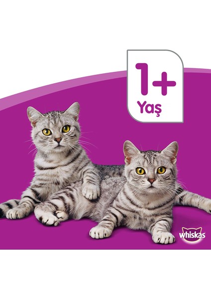 Biftekli ve Havuçlu Yetişkin Kedi Mamasi 1,4 kg