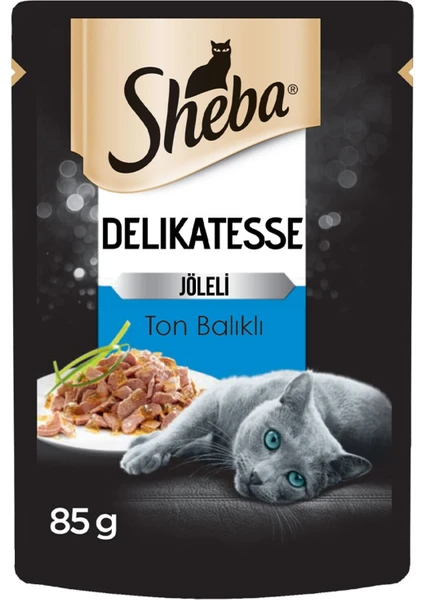 Delikatesse Ton Balıklı Jöleli Pouch Yetişkin Kedi Yaş Maması 24 x 85 gr