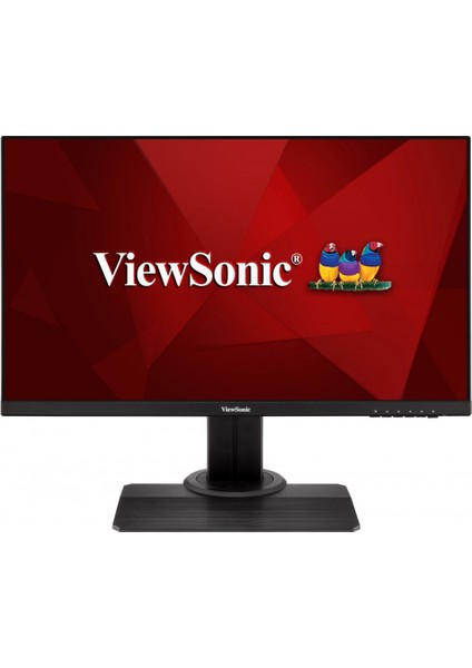 27 XG2705-2K Qhd 2560X1440 1ms 144HZ Freesync (2xhdmı+Dp) Pro IPS Pivot Oyuncu Monitör