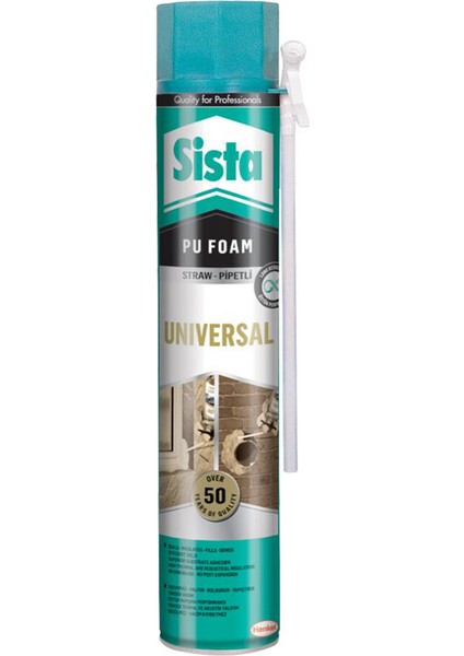 Poliüretan Köpük 750 ml
