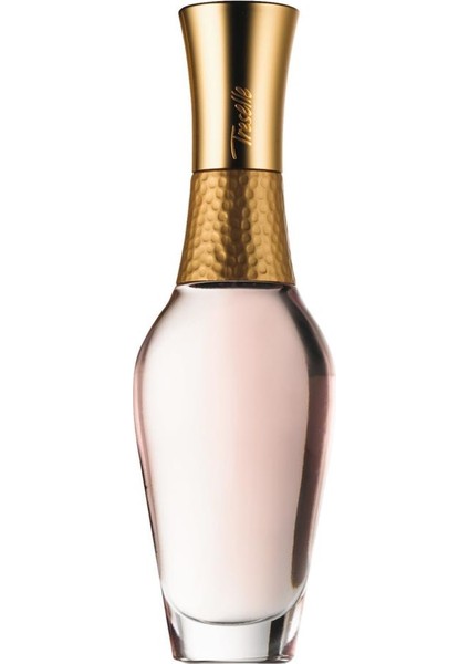 Treselle ve Little Black Dress Midnight Party Kadın Parfüm Paketi 100 ml fiyatları