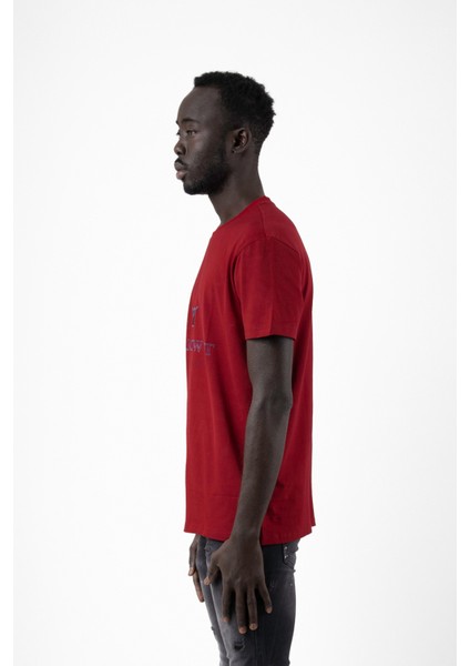 Thewıldwalkıng Erkek Sıfır Yaka T-Shirt modelleri