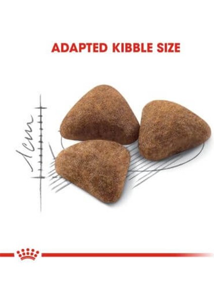 Indoor Yetişkin Kedi Maması 2 kg fiyatları