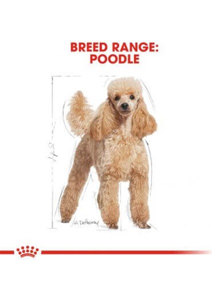 Poodle Adult Yetişkin Köpek Maması 3 kg