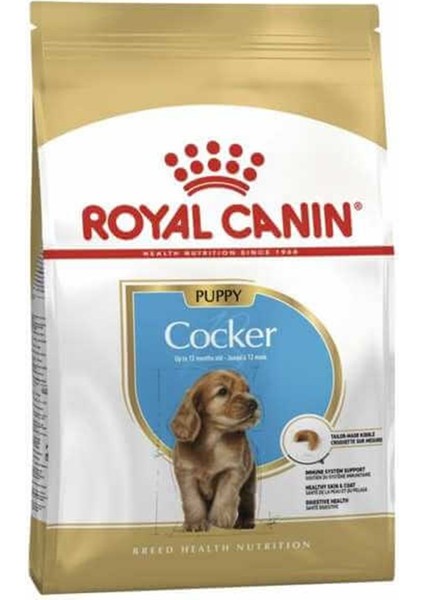 Puppy Yavru Cocker Köpek Maması 3 kg