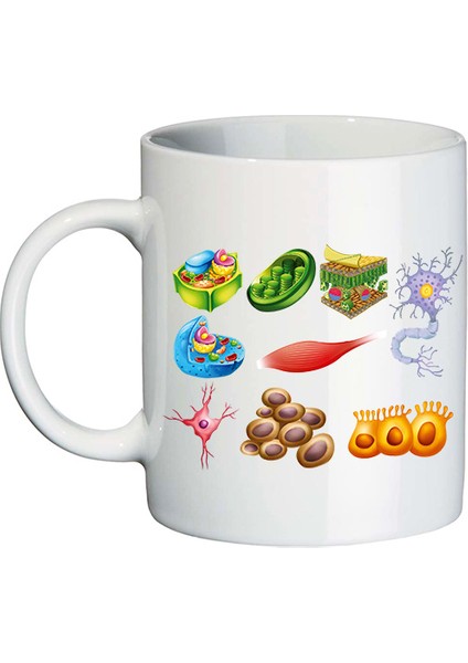 Biyoloji Öğretmenine Isimli Hediye Seti - Öğretmenler Günü Hediyesi modelleri