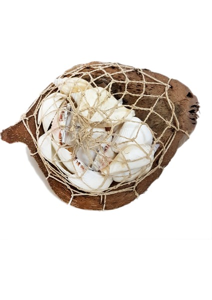 Coco Sepet Kabuk Beyaz Kabuk Yıldızlı