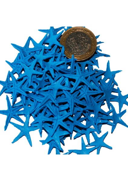 Polyester Deniz Yıldızı Minik Boy 0.5 Cm- 1.5 cm - 100 Adet Mavi