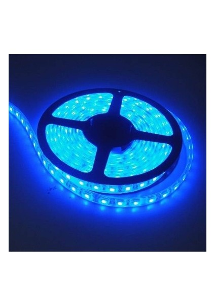 3 Çipli Mavi Şerit LED 10 METRE+12V Trafo Kuruluma Hazır Set
