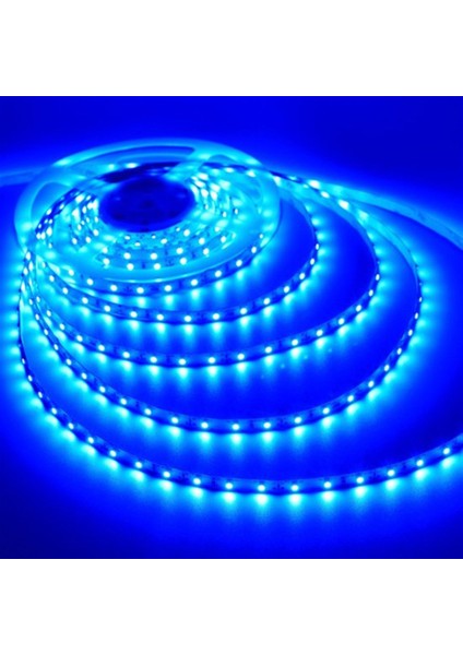 3 Çipli Mavi Şerit LED 10 METRE+12V Trafo Kuruluma Hazır Set