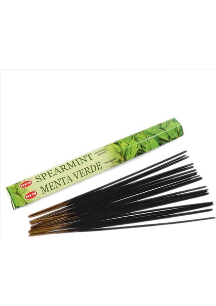 Spearmint - Nane Tütsü