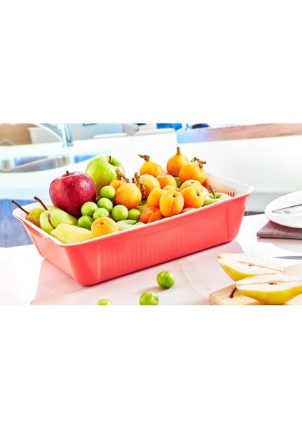 Çok Amaçlı Dikdörtgen Süzgeç